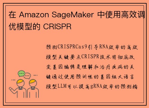 在 Amazon SageMaker 中使用高效调优模型的 CRISPR